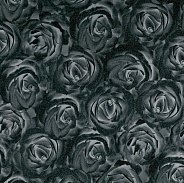 Роза чёрная